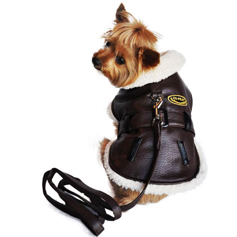 designer dog jackets for sale